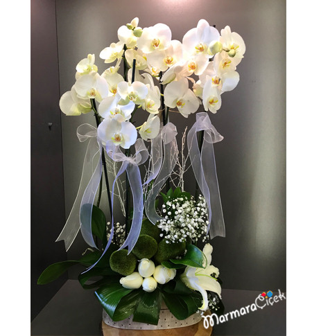 Beyaz Orkide Gül Aranjman
