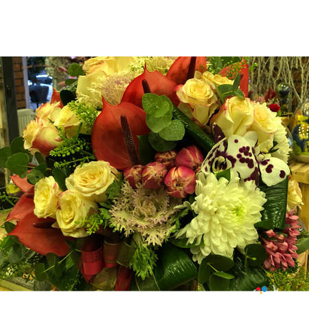 Jumbo Aranjman Ççiek