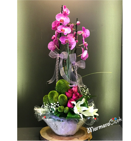 Fuşya Orkideli Aranjman