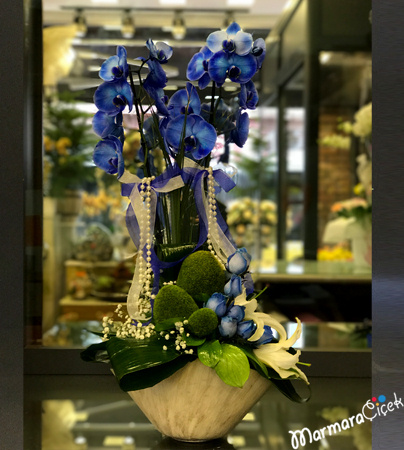 Mavi Orkide Aranjman