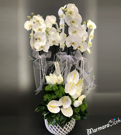 Şık Seramikte Orkide Aranjman
