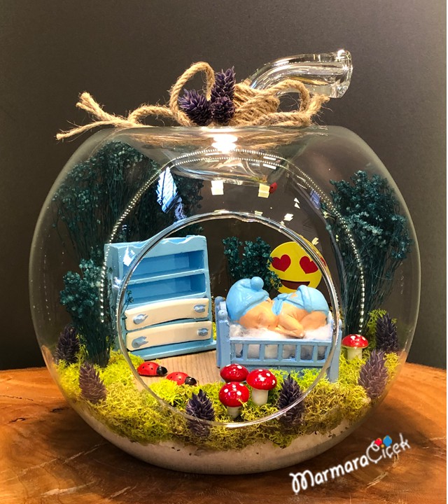 Oğlumun Odası Teraryum