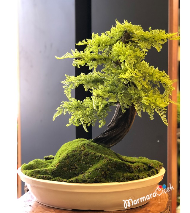 Yapay Bonsai Bitkisi
