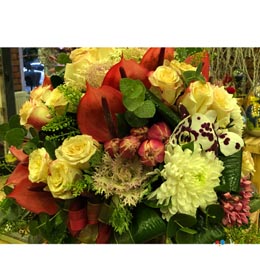 Jumbo Aranjman Ççiek