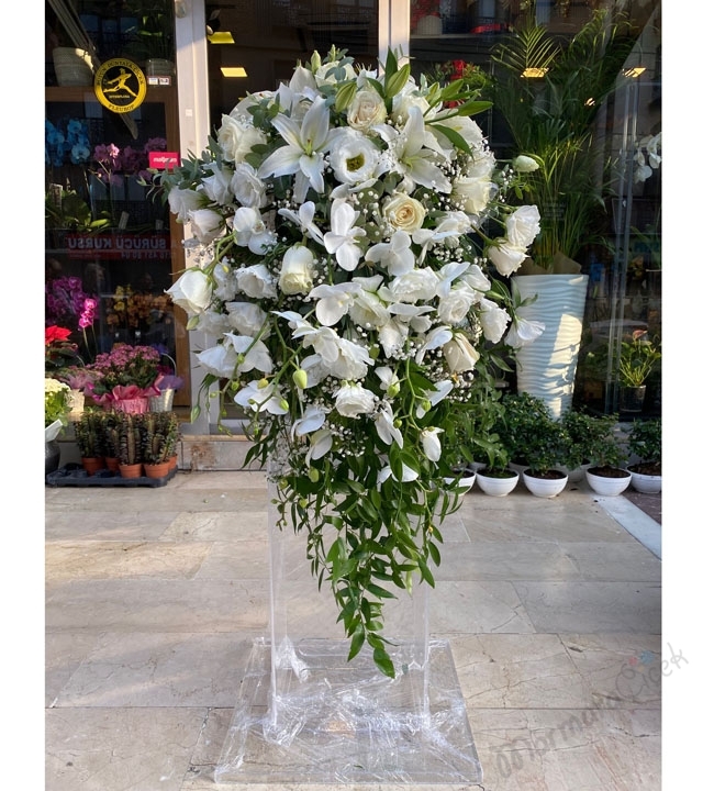  Nikâh Kürsü Çiçeği