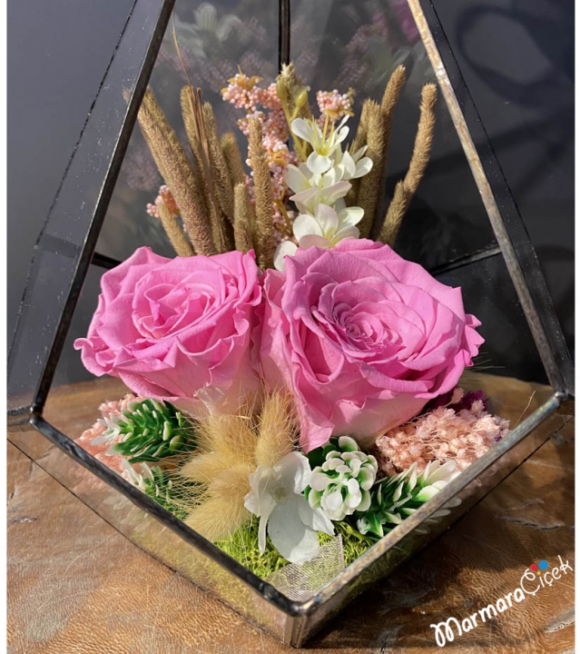 Prizmada Pembe Solmayan Güller