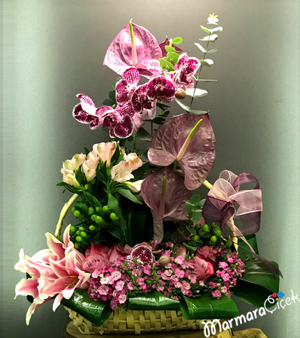 Fuşya Fuar Orkide Aranjman 