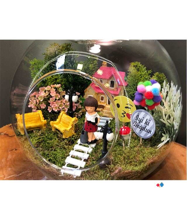 Happy Birthday Terraryum