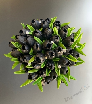 Kutuda Yapay Siyah Lale 