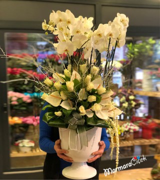 Beyaz Orkide Aranjman