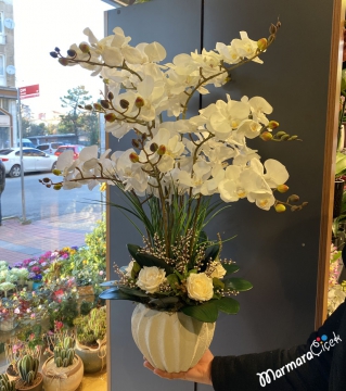Yapay Beyaz Orkideler
