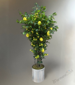 Yapay Limon Ağacı