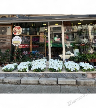 Yapay Organizasyon Çiçeği