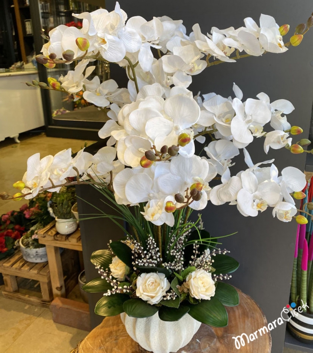 Yapay Beyaz Orkideler