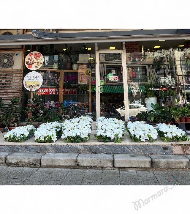 Yapay Organizasyon Çiçeği